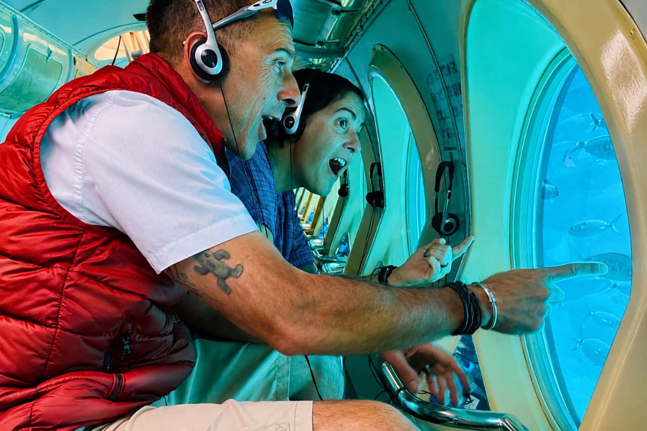 Passenger watching schools of fish through a large viewing window inside a tourist submarine.