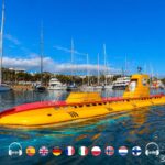 Submarine Safari