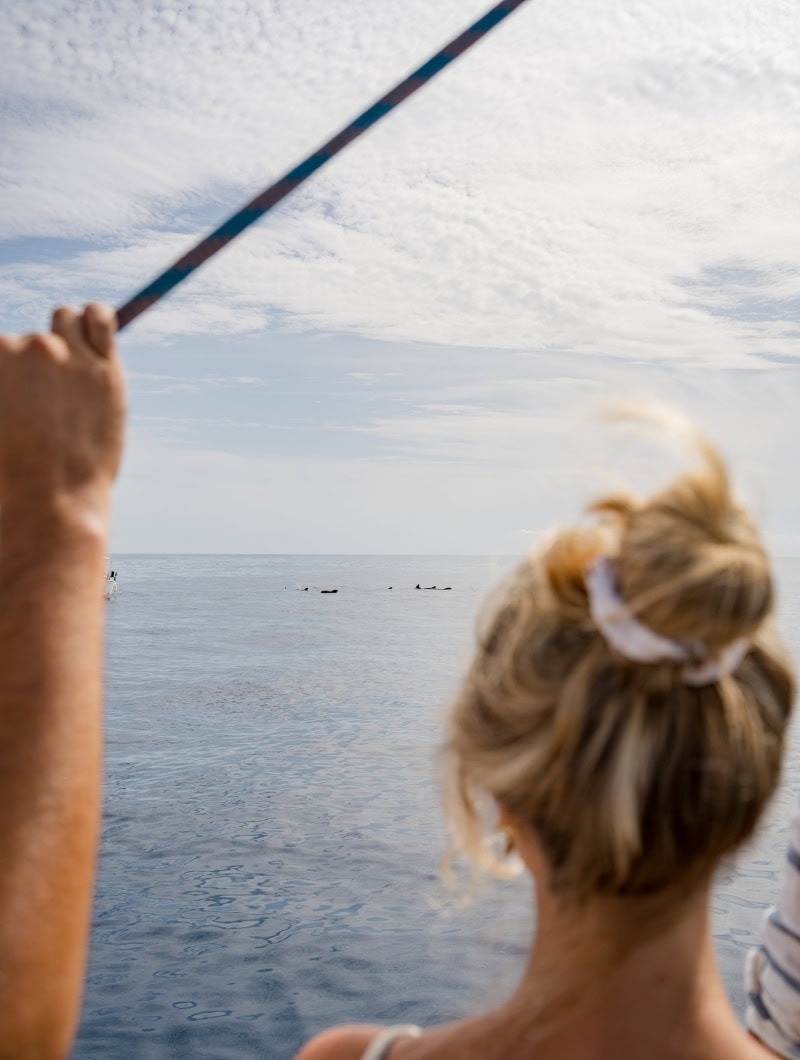 Guest spotting pilot whales from the deck of a private boat trip in Tenerife