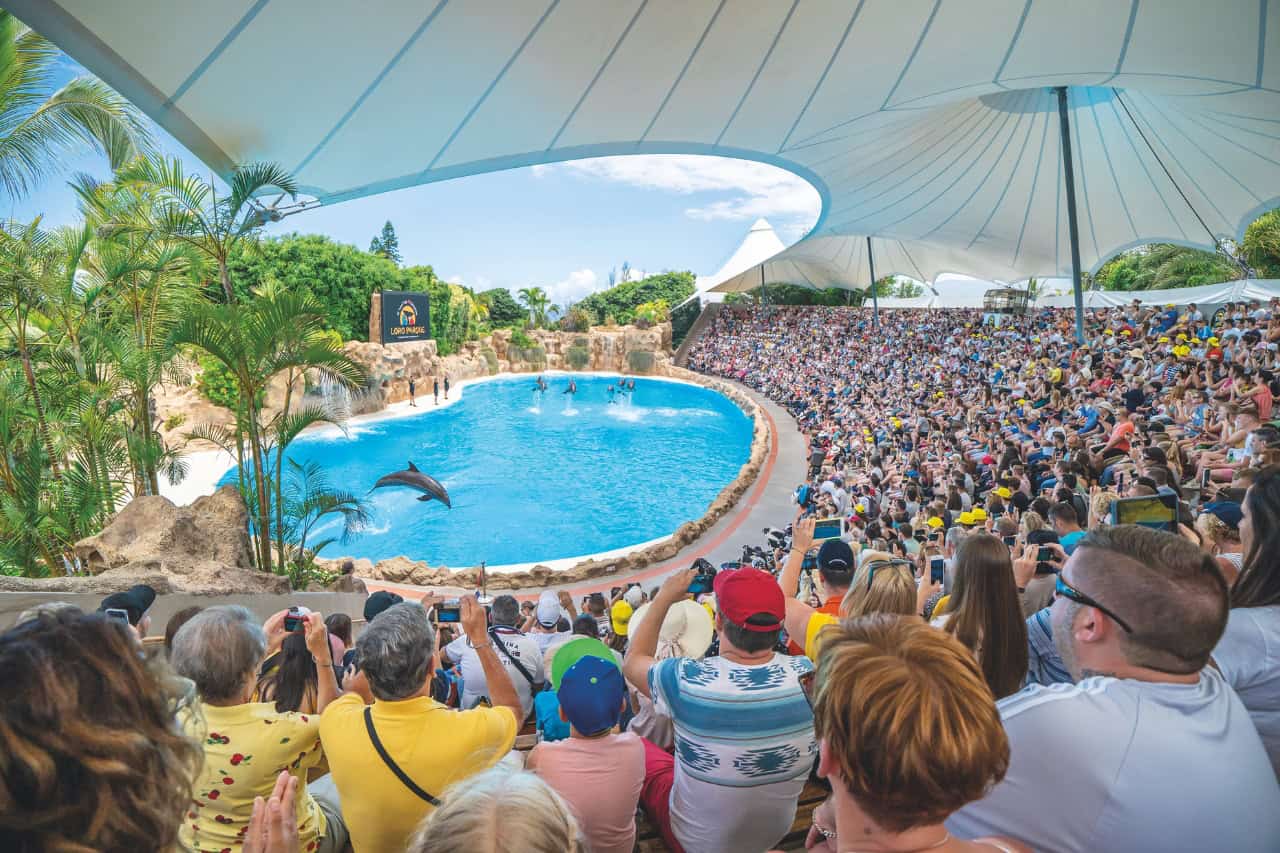 Dolphin show in the stadium at Loro Parque Tenerife