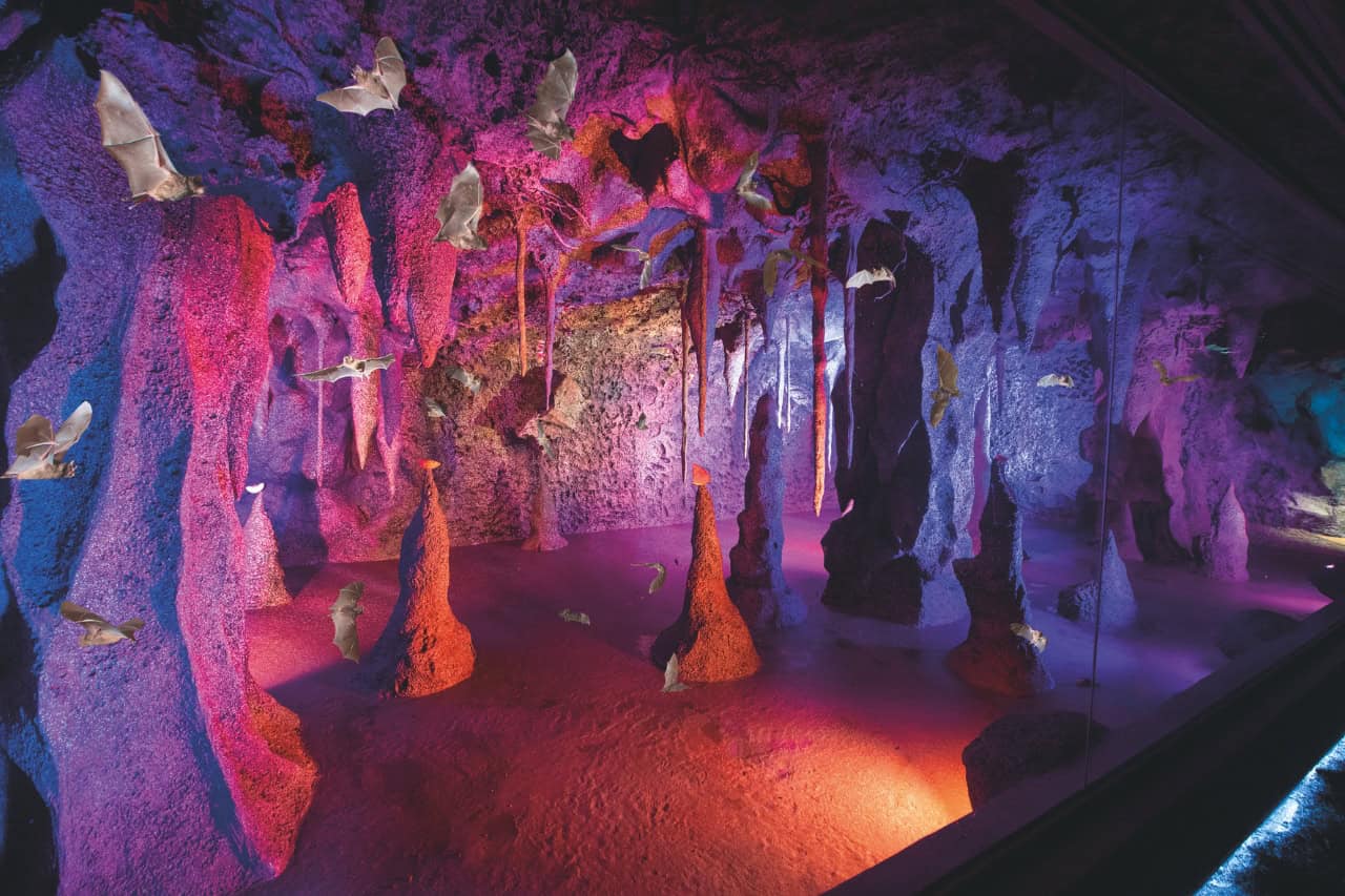 La Gruta immersive bat cave at Loro Parque Tenerife