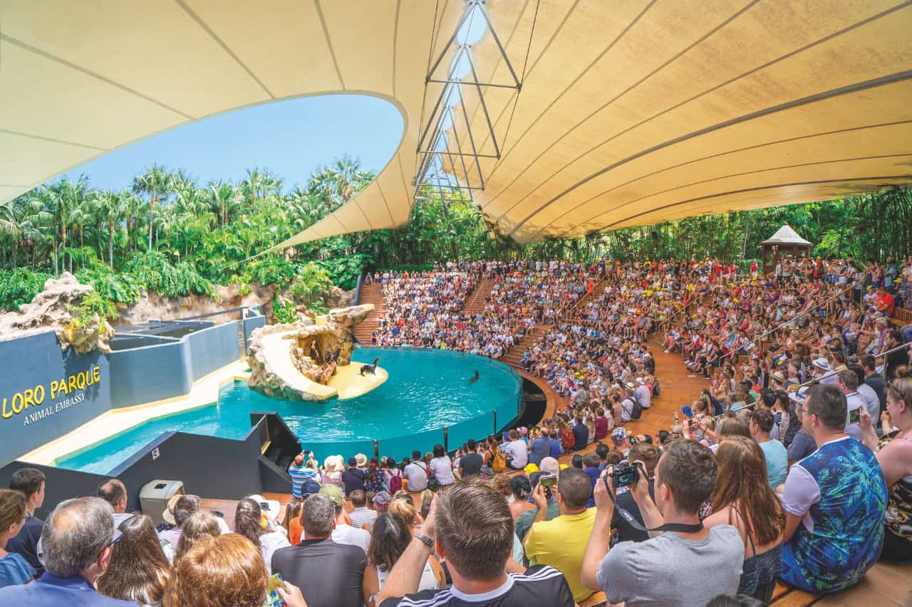 Sea lion live show presentation at Loro Parque Tenerife