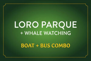 Kombi-Angebot Loro Parque und Walbeobachtung – Boot- und Buspaket zu Land und zu Wasser auf Teneriffa, exklusiv buchbar unter Club Canary