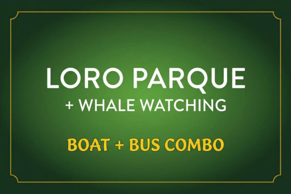 Loro Parque ja vaalade vaatlemise kombopakett – laeva- ja bussipakett maismaal ja merel Tenerifel, mida saab broneerida ainult koodiga Club Canary