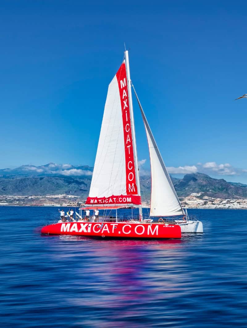 Maxicat: privéverhuur van een catamaran op Tenerife, grote groep op het dek op zee Costa Adeje