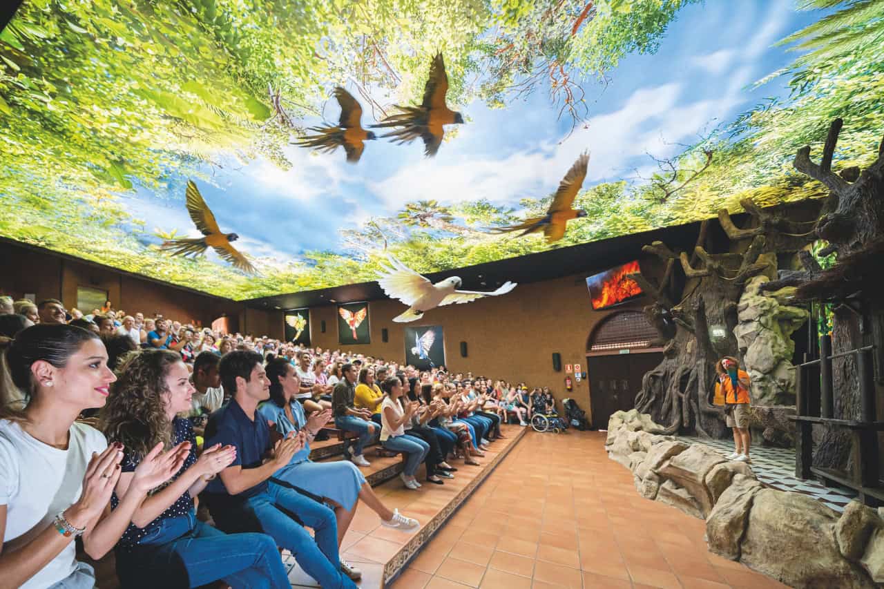 Putnu šovs Loro Parque Tenerifē ģimenei draudzīgā komplektā ar iekļautu vaļu Vērošanu un transportu