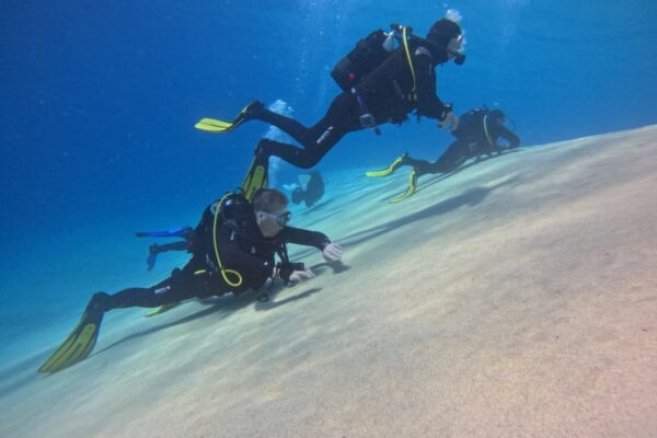 Group of scuba divers exploring the clear water and sandy seabed near Morro Jable, Fuerteventura