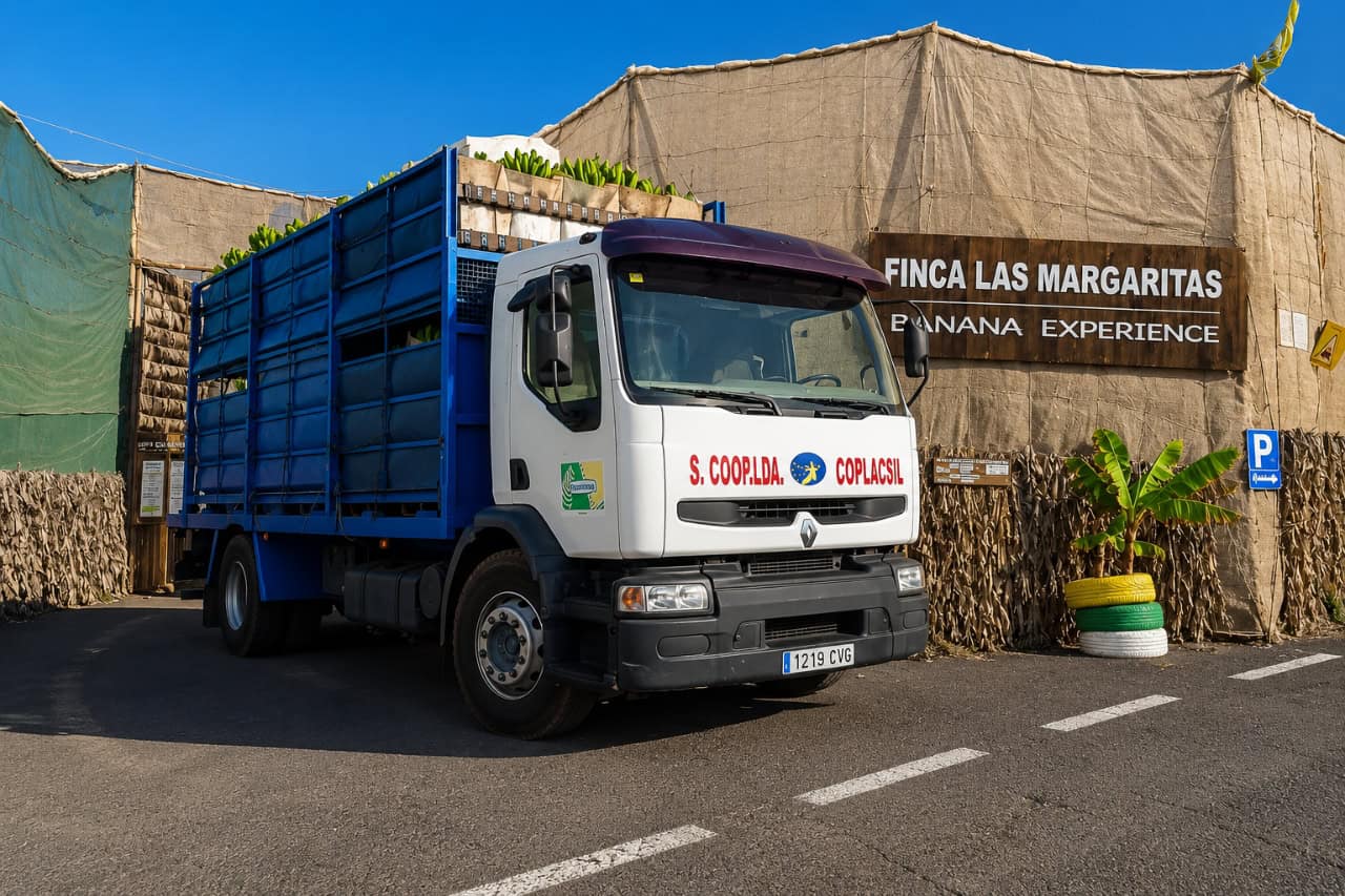 Banana transport truck loaded with produce outside Finca Las Margaritas banana plantation in Tenerife.