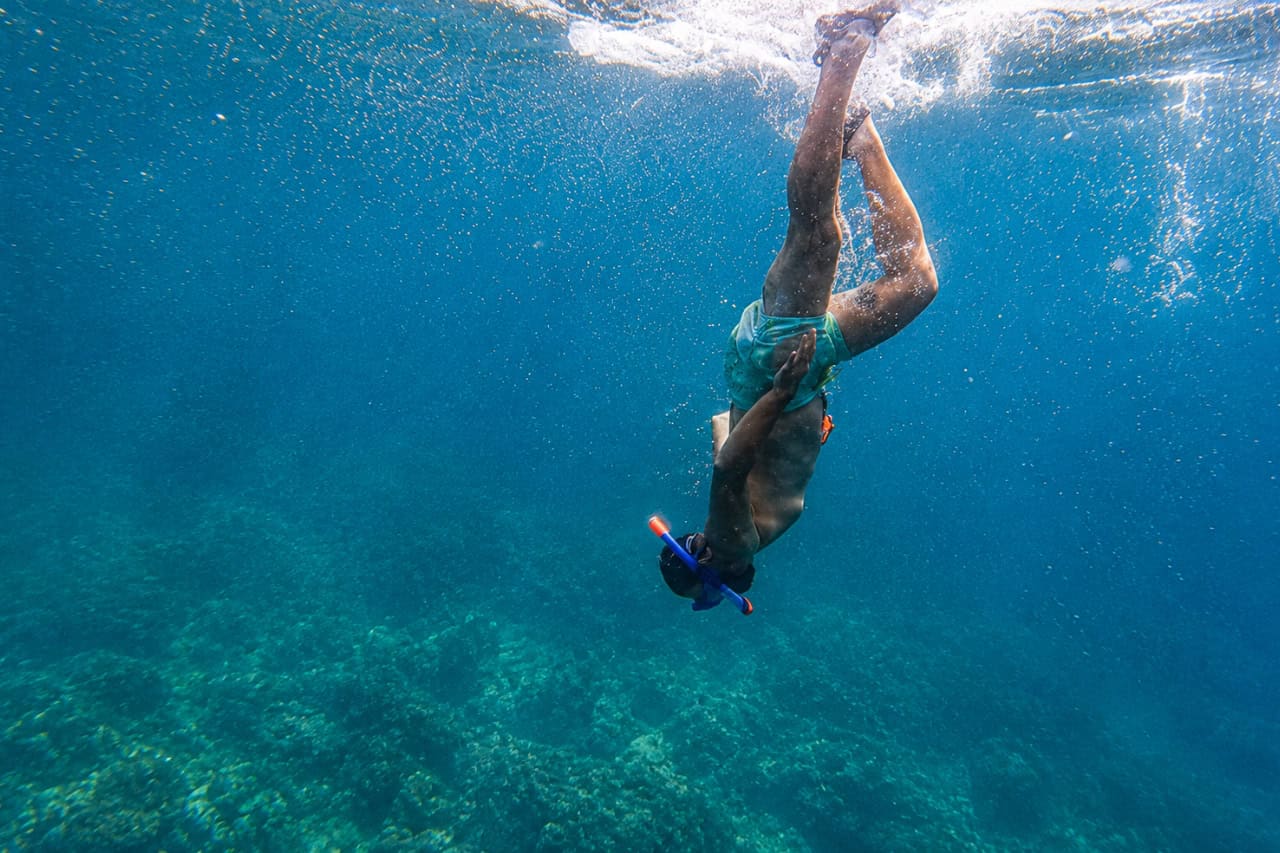 Person diving headfirst beneath the surface during a snorkeling tour in Fuerteventura, exploring the clear blue waters above a vibrant reef.