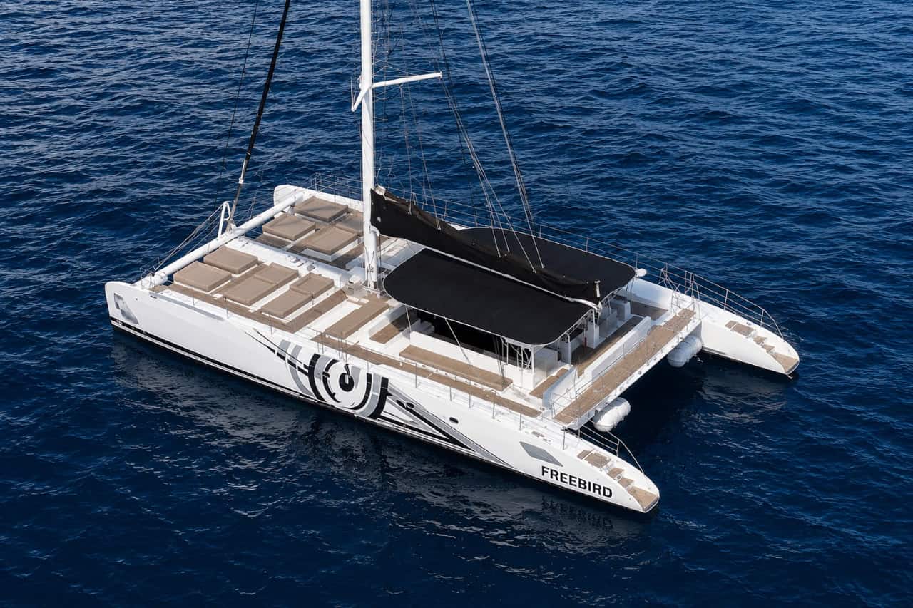 Aerial view of the Freebird catamaran sailing on the Atlantic Ocean during a whale watching tour from Puerto de la Cruz in Tenerife