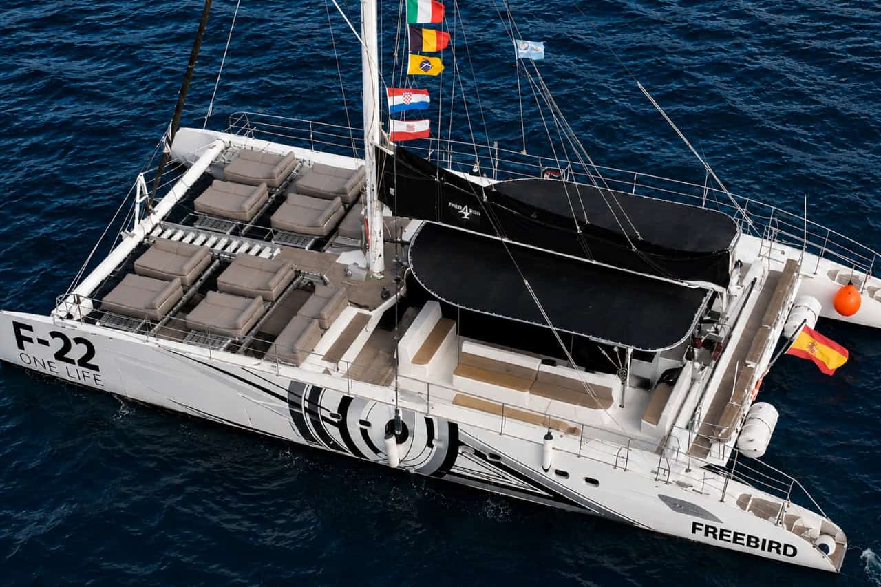Aerial view of the Freebird luxury catamaran cruising off the Tenerife coast, featuring spacious sun loungers and outdoor seating ready for a whale and dolphin watching excursion.