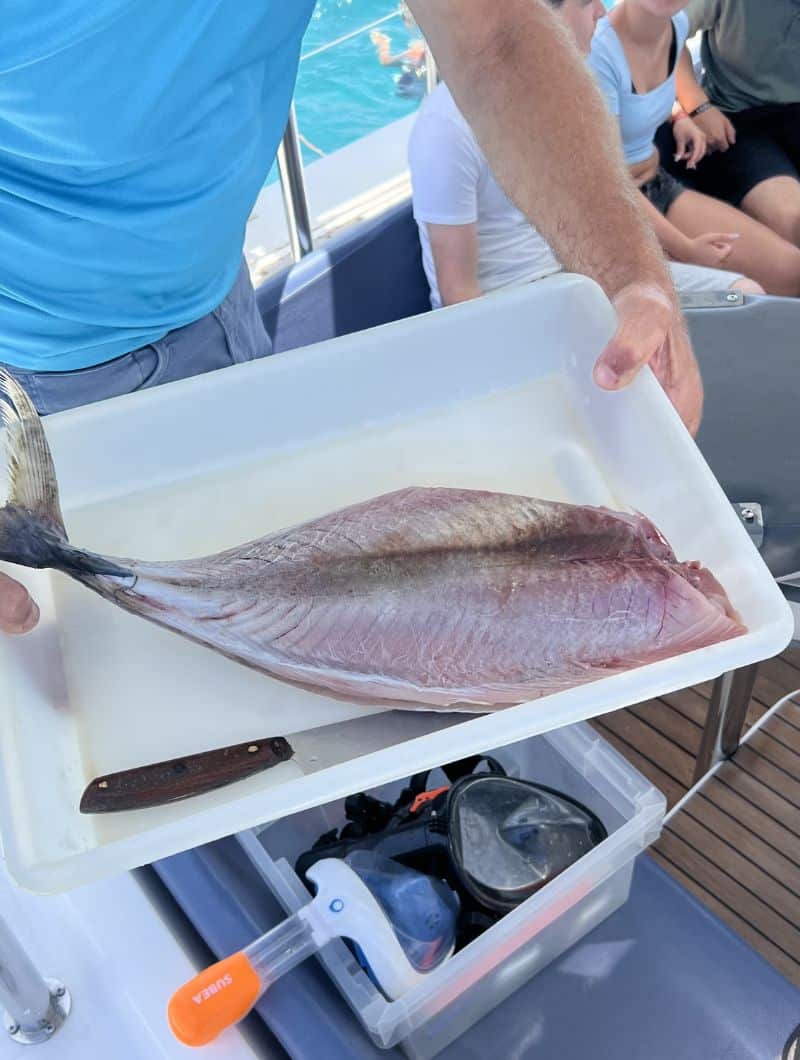 Fresh fish being prepared on board during the private catamaran trip from Morro Jable, Fuerteventura