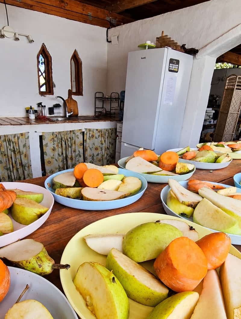 Fruit plates prepared for animal feeding at Camel Park Tenerife