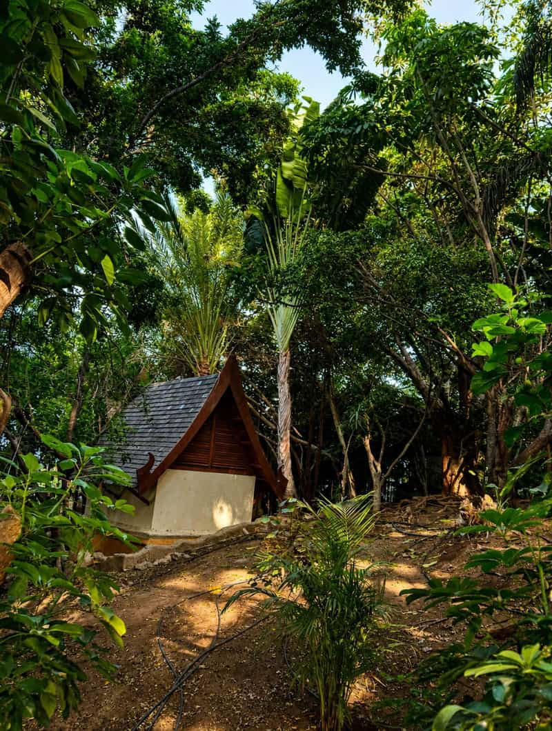 Siam Park House hidden among tropical trees inside Siam Park Tenerife, photographed by Club Canary