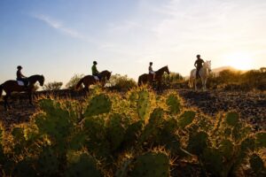 Horse riders following a scenic trail through Tenerife's volcanic terrain with lava rocks, cacti, and mountain views at sunset.