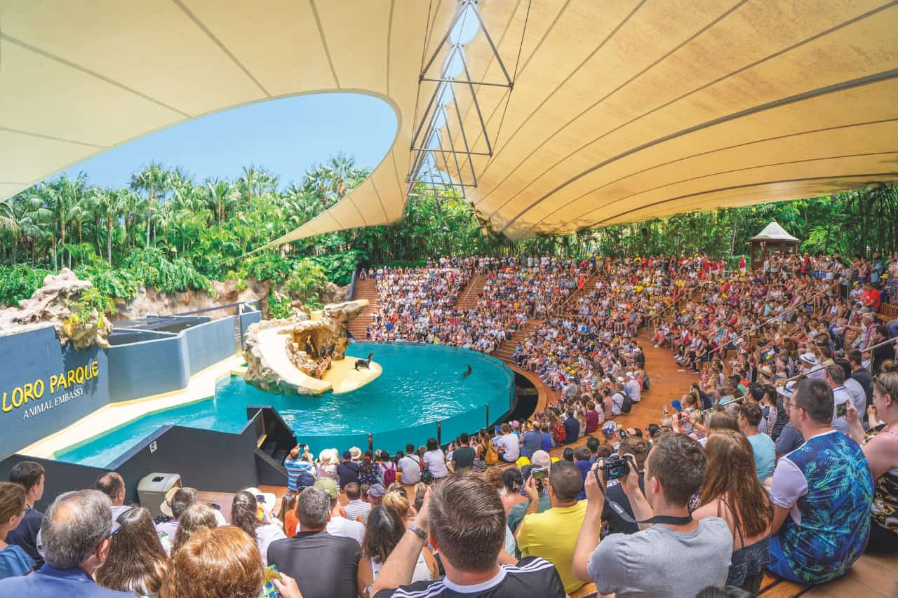 Loro Parque show included with the Siam Park and Loro Parque Twin Ticket in Tenerife.