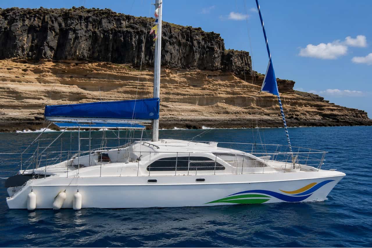 White medium-sized catamaran sailing along Tenerife's volcanic coastline near Puerto Colón under clear blue skies during a 3-hour boat trip.