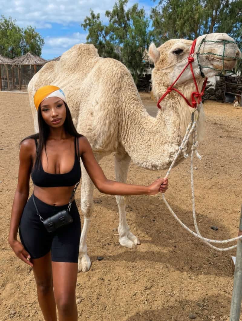 Guest meeting a camel up close at Camel Park Tenerife