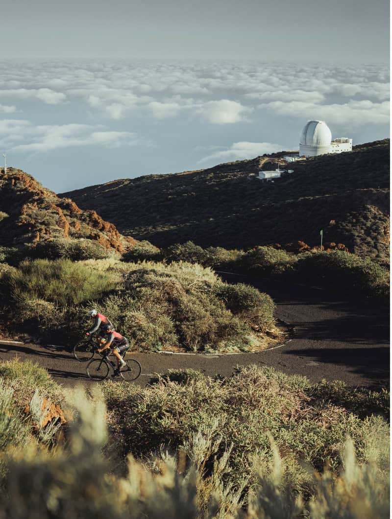 Mountain bikers riding a forest track on a guided tour in La Palma