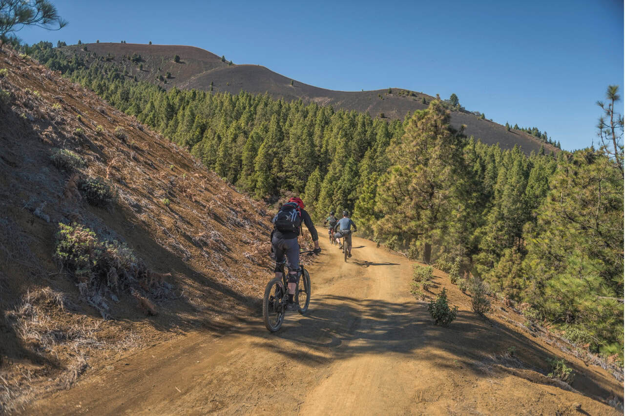 Rider on a volcanic forest trail during an enduro mountain bike tour in La Palma