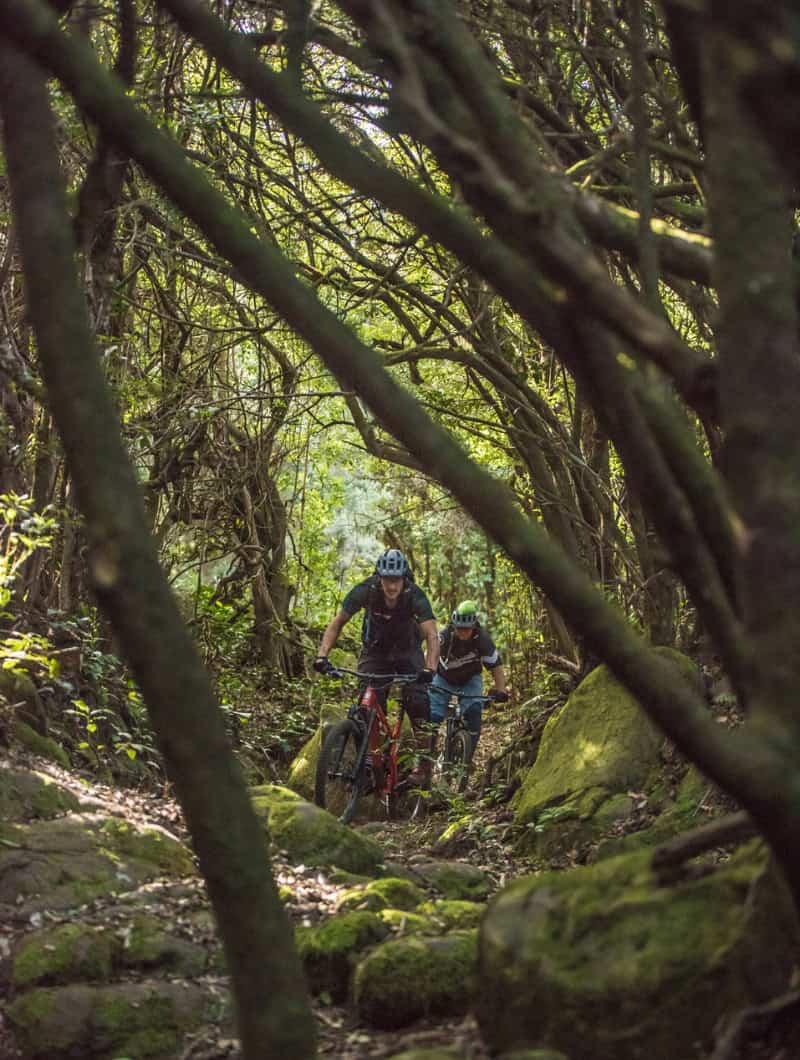 Road cyclists on a mountain road in La Palma