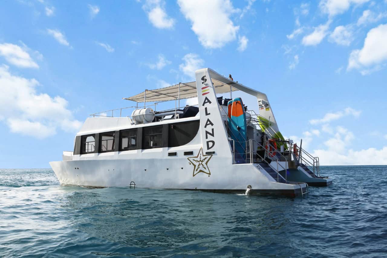 Sealand catamaran on the ocean during a Fuerteventura boat trip