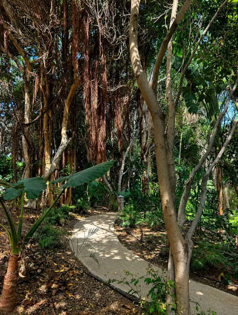 Tropical pathway leading to the private Siam Park House area inside Siam Park Tenerife