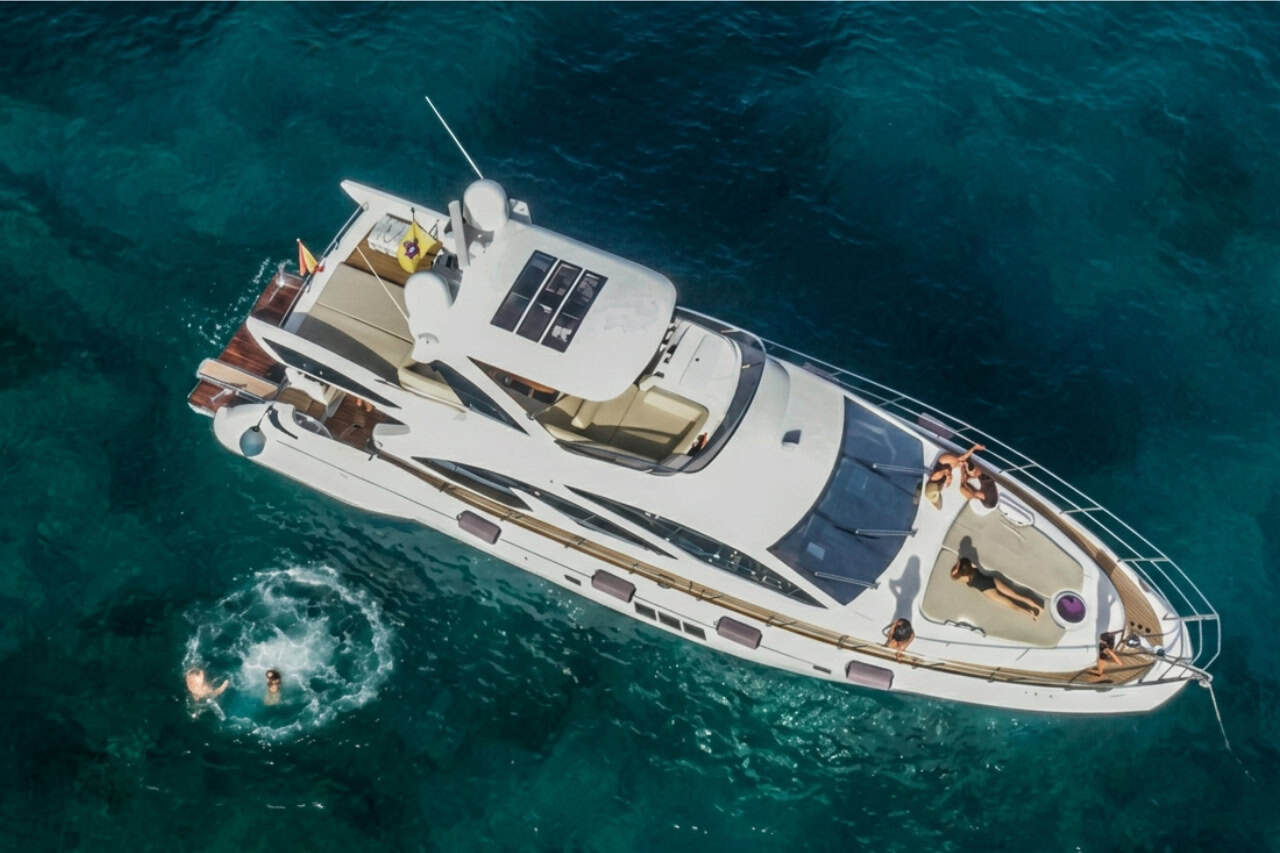 Tigresa yacht in Tenerife with official whale watching license