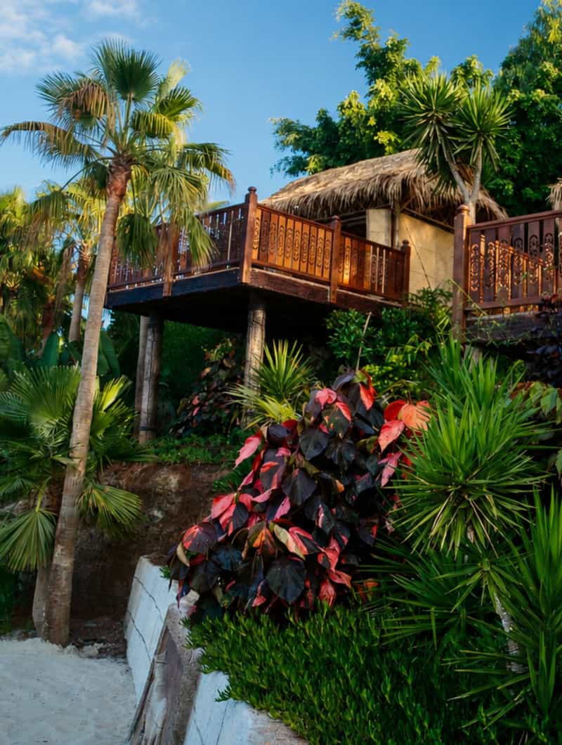 Tropická exteriér kabíny Siam Park obklopenej džungľovou zeleňou na Tenerife