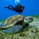 Try dive Tenerife