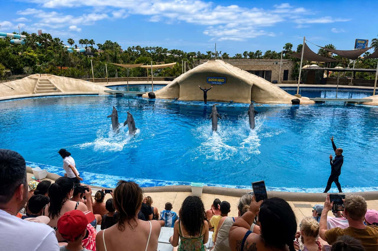 Dolphin show included in the Aqualand and Jungle Park combo ticket