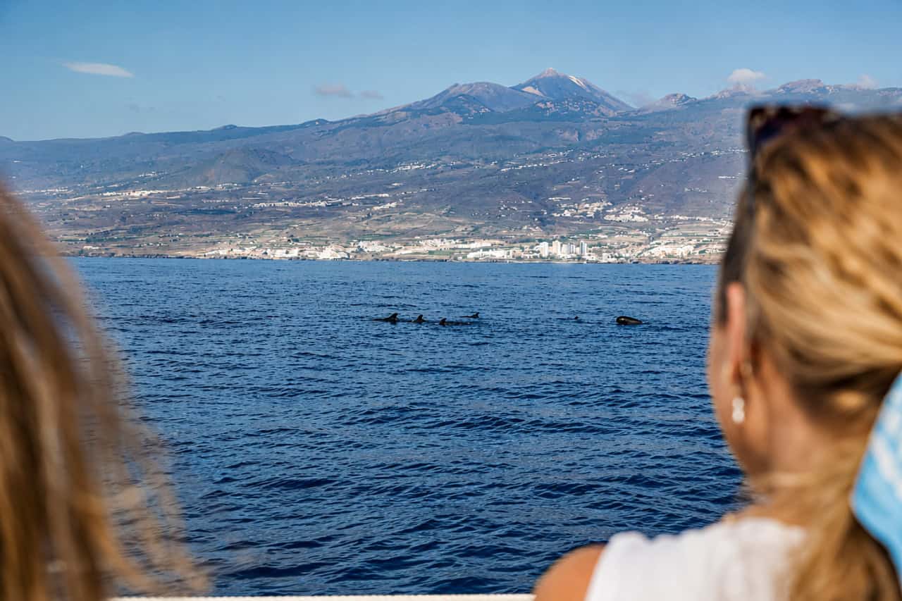 Guests watching a pod of pilot whales from the Atlantic Star, with Tenerife’s coastline and volcanic mountains visible in the background.