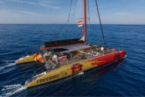 Aerial view of the colourful Freebird catamaran sailing across the Atlantic during a whale watching tour from Costa Adeje, Tenerife.
