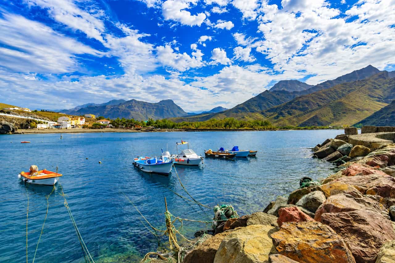Bus Island Tour Gran Canaria collectible card artwork