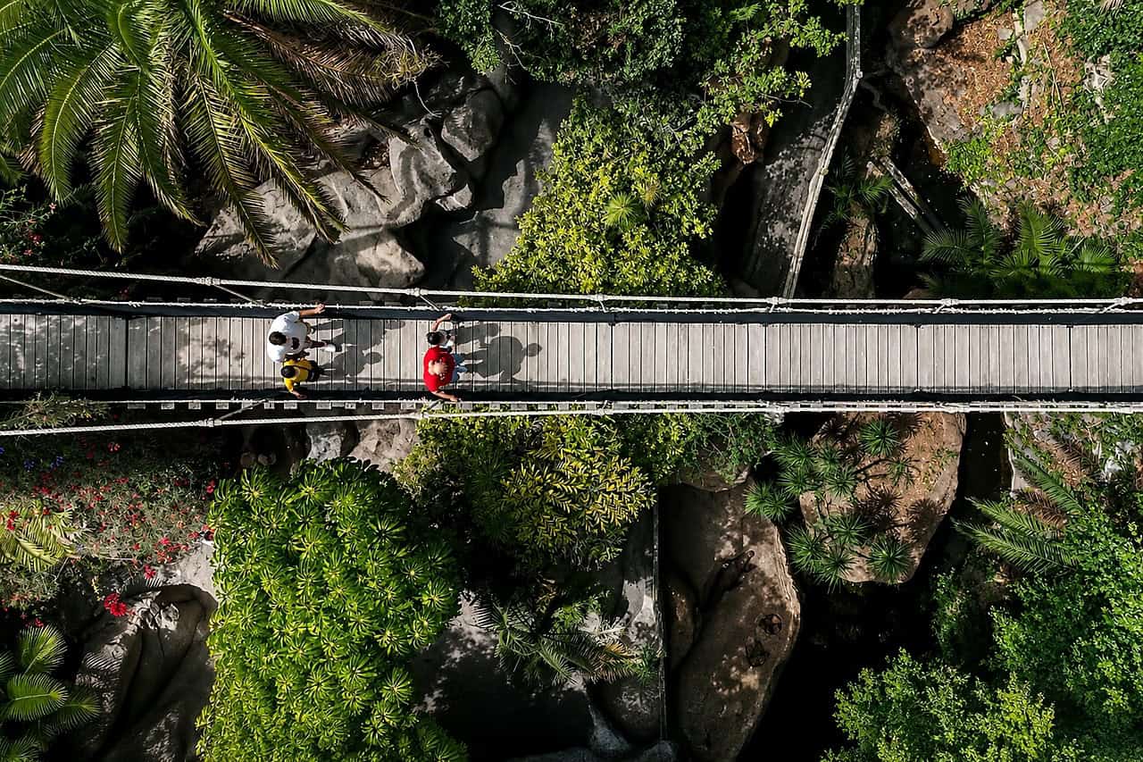 Suspension bridge through the jungle area at Jungle Park Tenerife
