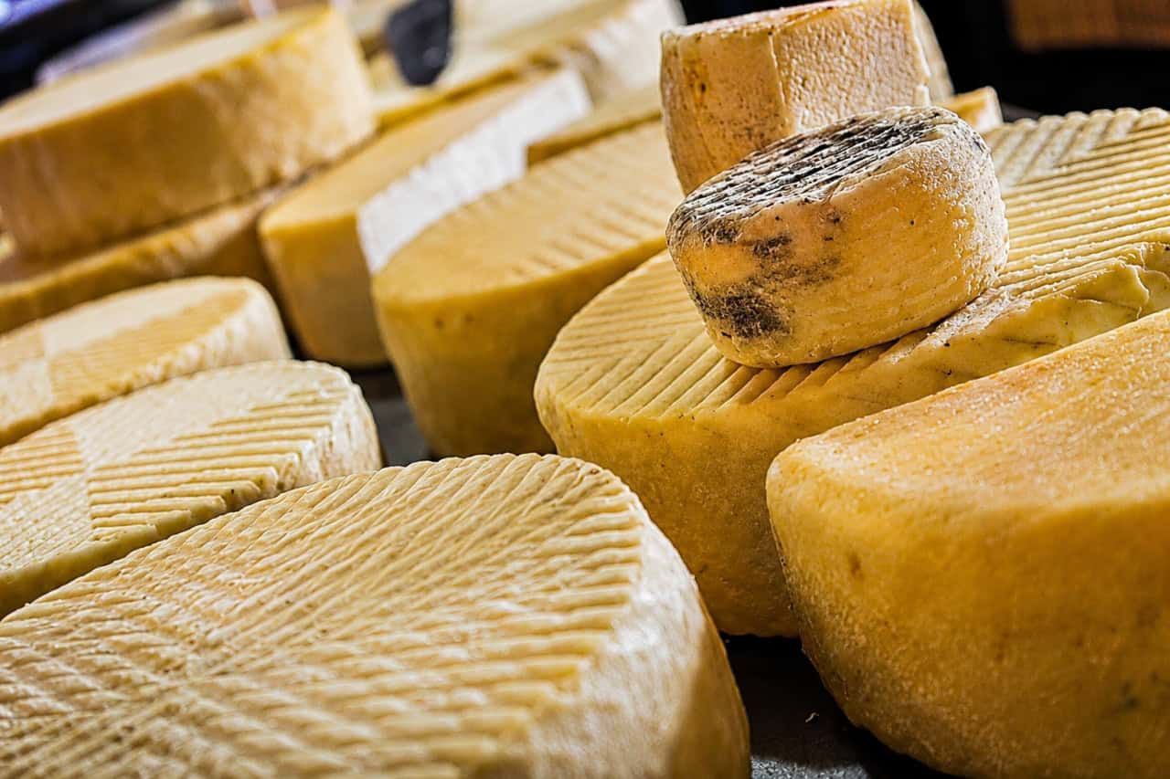 Traditional Majorero cheese from Fuerteventura displayed during the island tour.