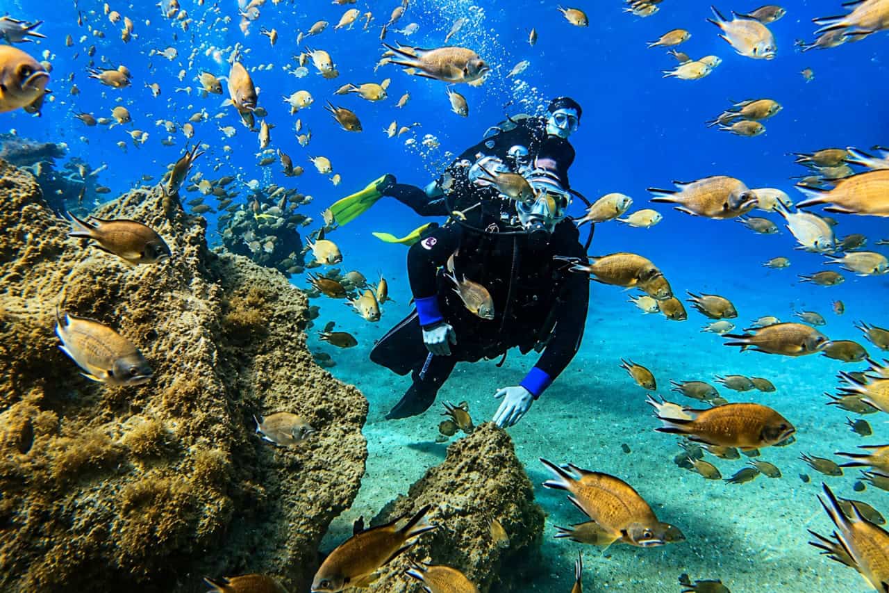 兰萨罗特岛初学者水肺潜水体验