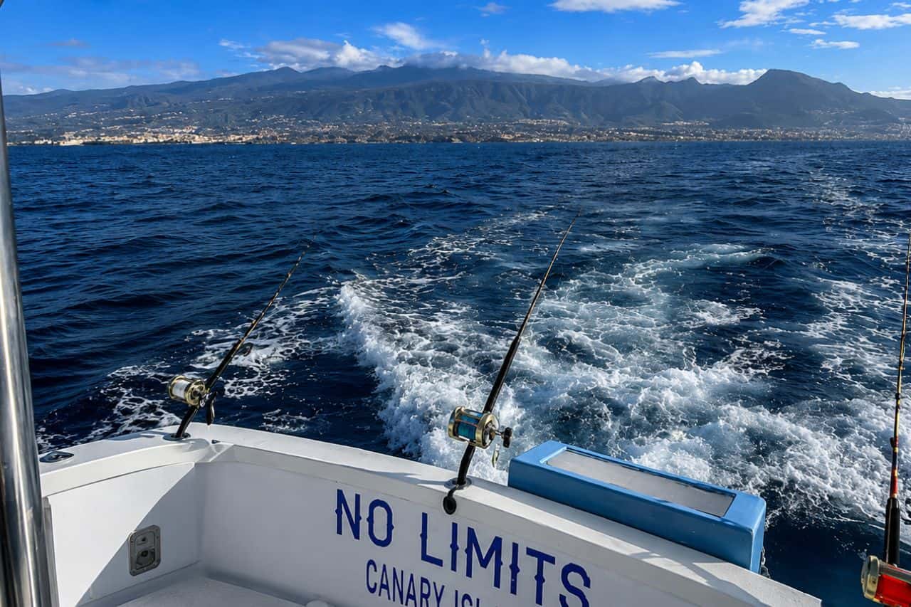 Ribiške pal E, nastavljene na zadnjem delu čolna med skupnim ribolovom na morju na Tenerifih, v ozadju pa se vidi obala Tenerifov.