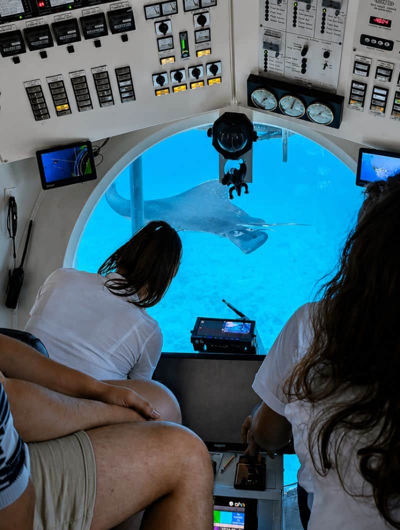 Passagiere auf der U-Boot-Fahrt Teneriffa beobachten einen Stechrochen, der am Aussichtsfenster vorbeischwimmt