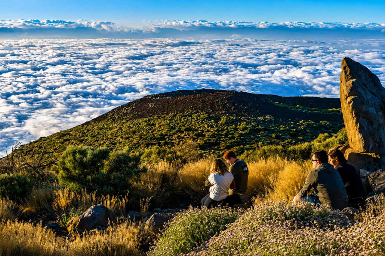 Guests enjoying views above the clouds on the Teide by Night tour
