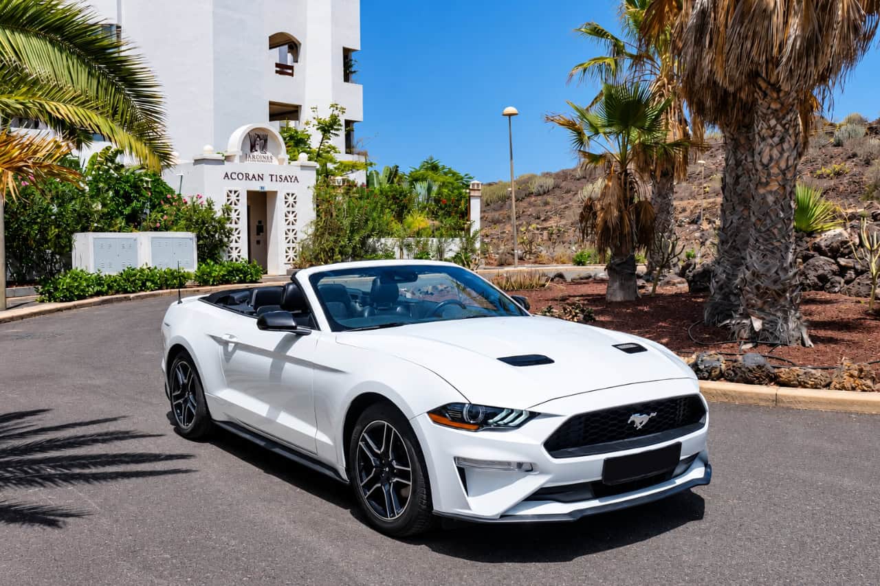 White Ford Mustang convertible with the roof down, parked among palm trees in Tenerife and available for car rental.