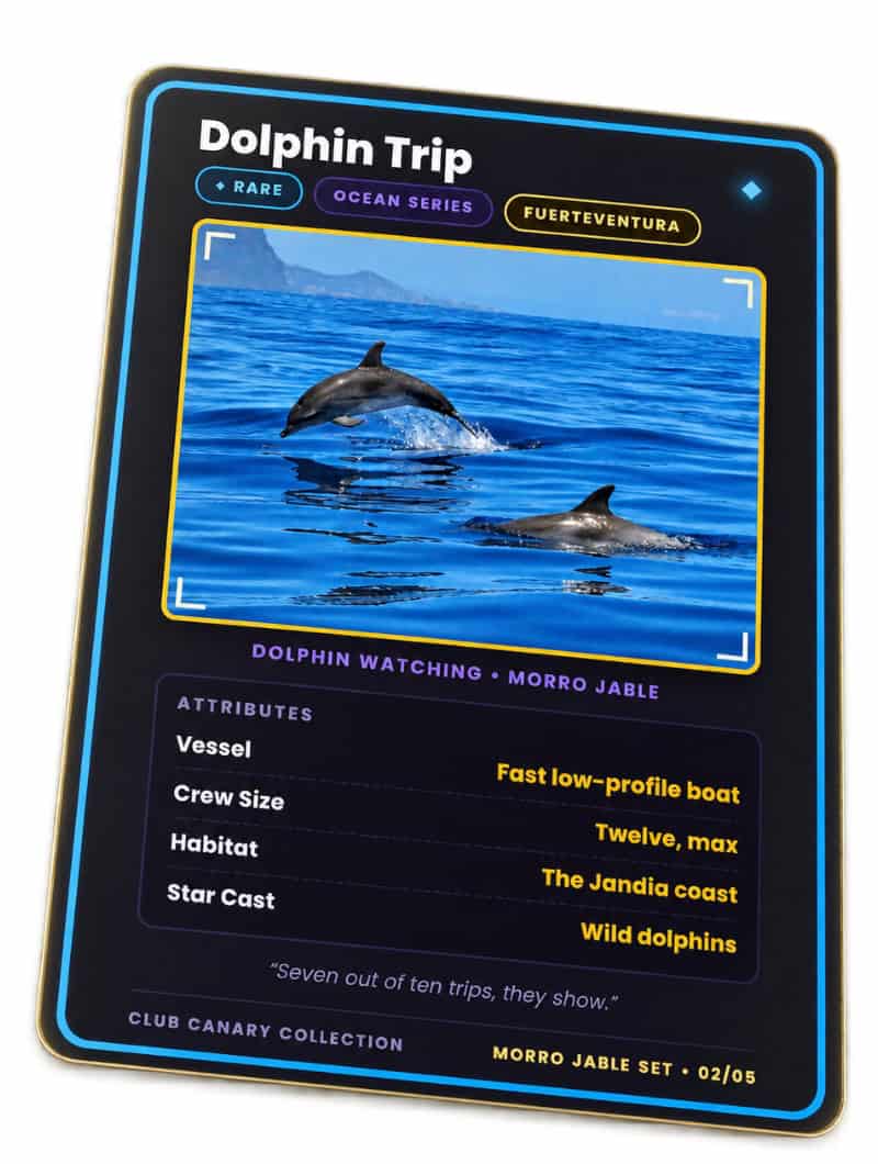 Club Canary collectible card for dolphin watching from Morro Jable in Fuerteventura, Rare tier, Morro Jable Set