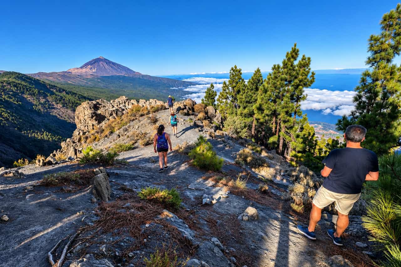 Walkers on a ridge path among Canarian pines with Mount Teide and the ocean behind