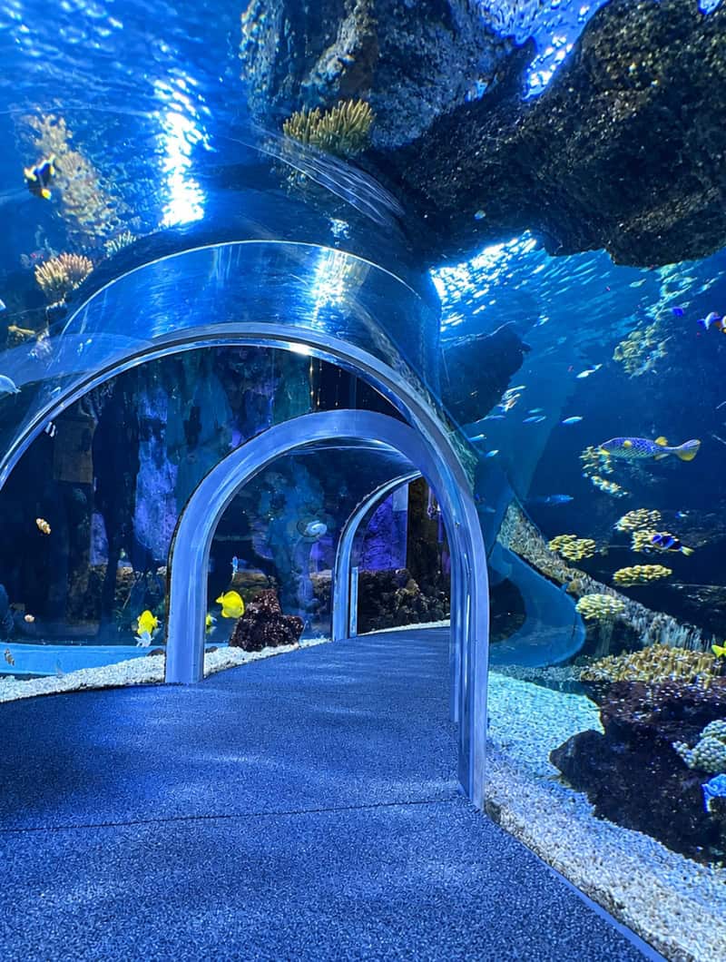 A clear crawl tunnel for children running through a reef tank at Poema del Mar, visited on a day trip from Maspalomas