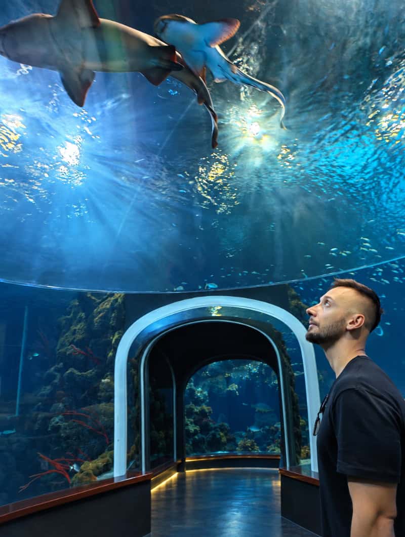 A visitor looking up at sharks and rays passing overhead through a glass dome at Poema del Mar in Las Palmas