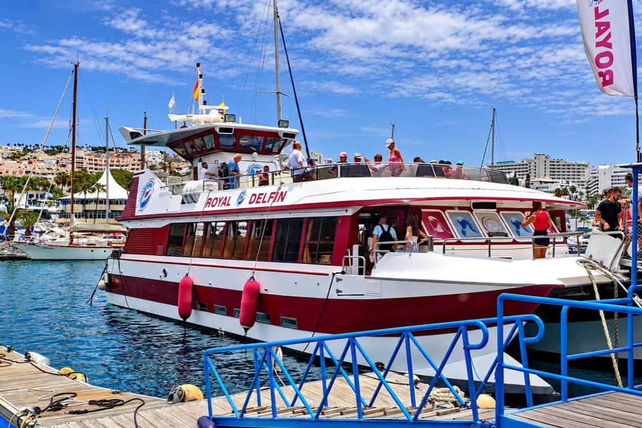 De Royal Delfin catamaran in de jachthaven voor de walviskijkercruise met ophaal bij North Tenerife