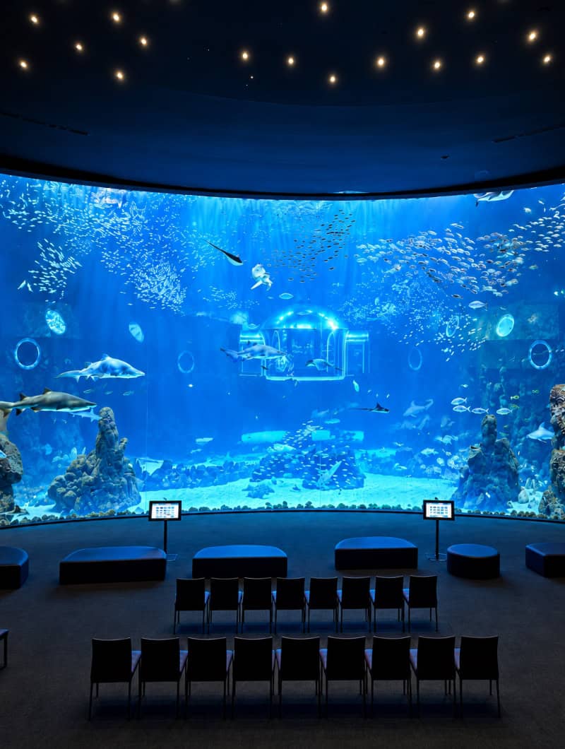 Visitors seated in front of the huge curved viewing window of the Deep Sea tank at the aquarium in Gran Canaria